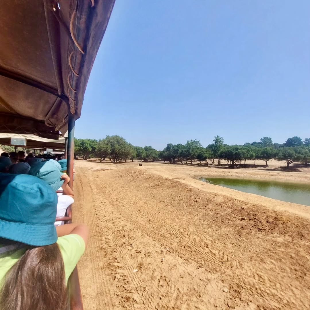 Uma semana de emoções! - Viagem ao Alentejo.- Uma noite numa tenda 5 ⭐️.- _Festa do pijama.- Ja (5).jpeg